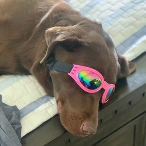 Meet your Posher, Kathleen